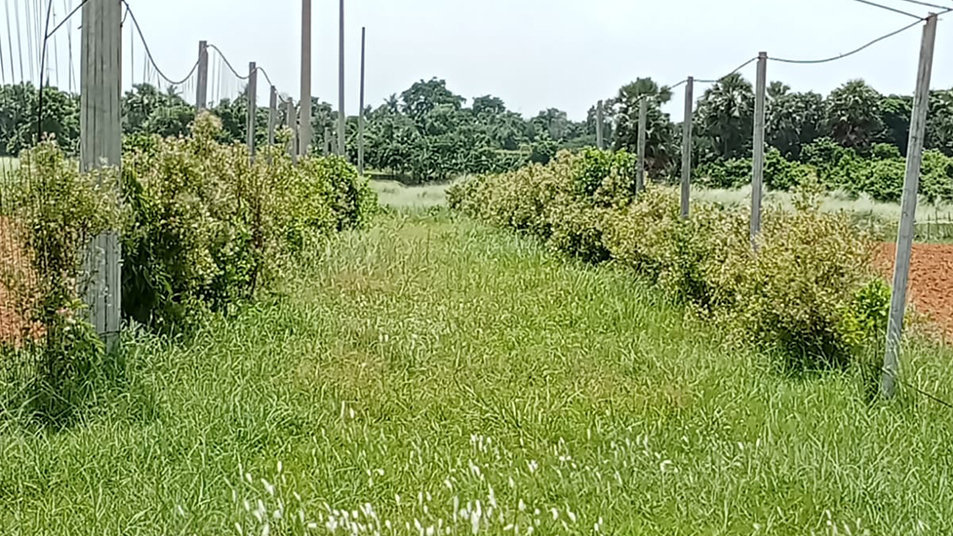 25 Feet Residential Road