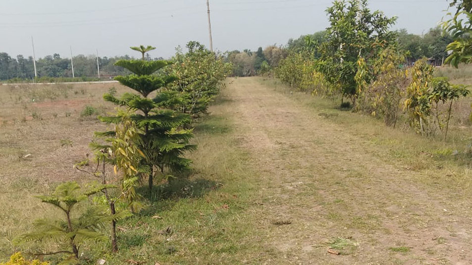 40 Feet Avenue Road