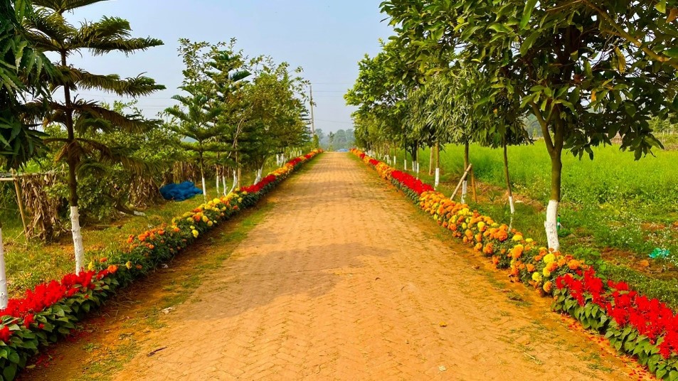 60 Feet Avenue Road