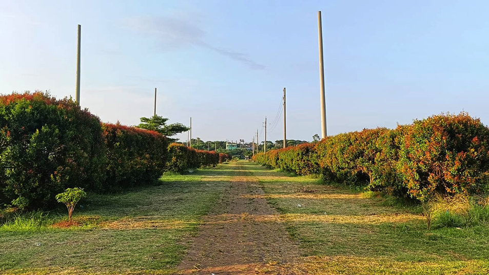 80 Feet Avenue Road